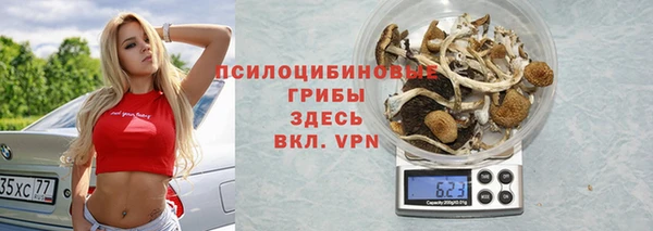 ALPHA PVP Богданович