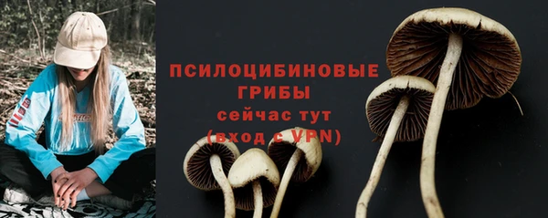 дмт Беломорск