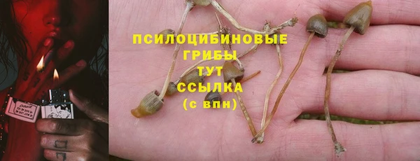герыч Богородск