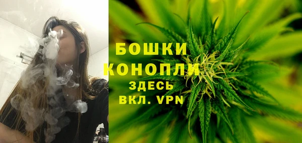СК Богородицк